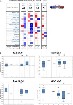 SLC15A4 Serves as a Novel Prognostic Biomarker and Target for Lung Adenocarcinoma